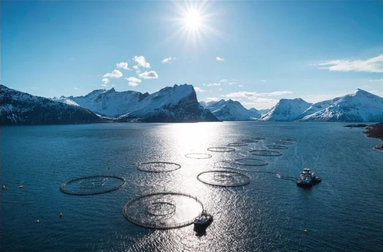 Zera Marez - Fiordos noruegos con operaciones de pesca