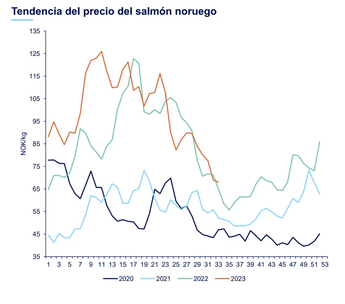 Zera Marez - Gráfico de Tendencia del precio del salmón noruego